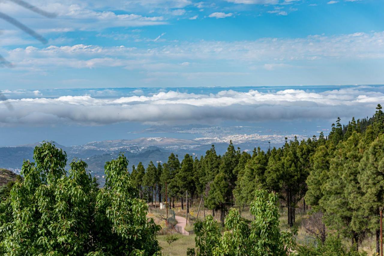 Roque Nublo Rural Houses I Vega de San Mateo Εξωτερικό φωτογραφία